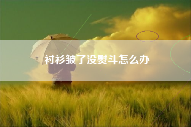 衬衫皱了没熨斗怎么办