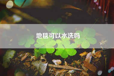 地毯可以水洗吗