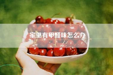 家里有甲醛味怎么办