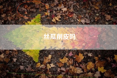 丝瓜削皮吗