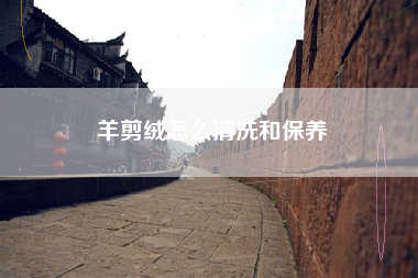 羊剪绒怎么清洗和保养