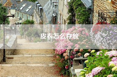 皮衣怎么存放