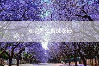肥皂怎么做洗衣液