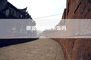 微波炉能蒸米饭吗