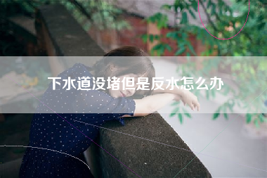 下水道没堵但是反水怎么办