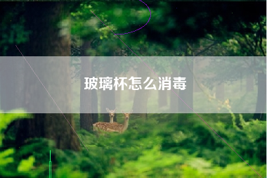 玻璃杯怎么消毒