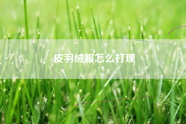 皮羽绒服怎么打理