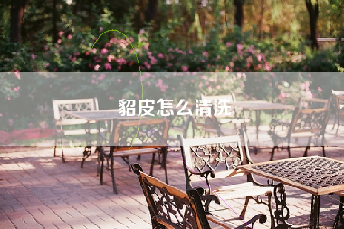 貂皮怎么清洗