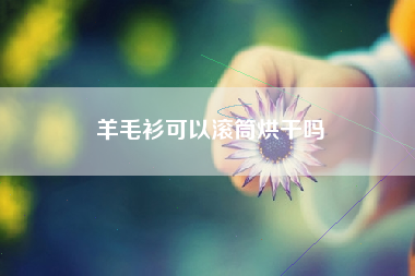 羊毛衫可以滚筒烘干吗
