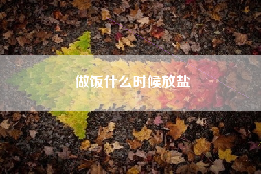 做饭什么时候放盐