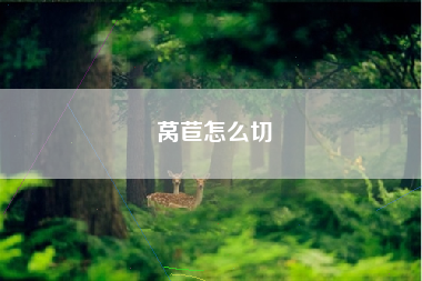莴苣怎么切