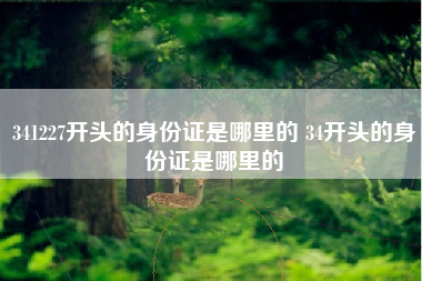 341227开头的身份证是哪里的 34开头的身份证是哪里的