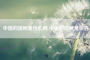 中国的国树是什么树 中国的国树是银杏