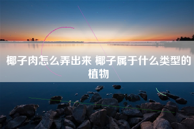 椰子肉怎么弄出来 椰子属于什么类型的植物