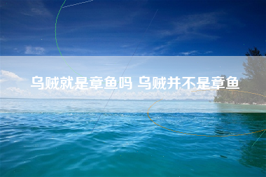 乌贼就是章鱼吗 乌贼并不是章鱼