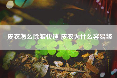 皮衣怎么除皱快速 皮衣为什么容易皱