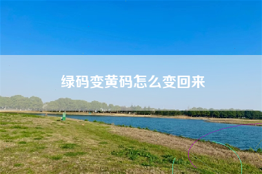 绿码变黄码怎么变回来