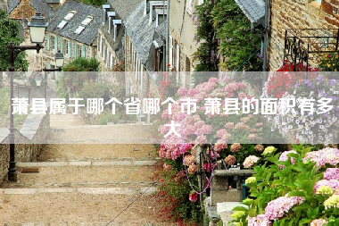 萧县属于哪个省哪个市 萧县的面积有多大