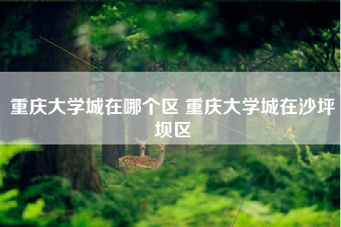 重庆大学城在哪个区 重庆大学城在沙坪坝区