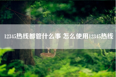 12345热线都管什么事 怎么使用12345热线