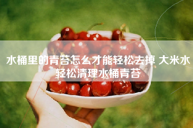 水桶里的青苔怎么才能轻松去掉 大米水轻松清理水桶青苔