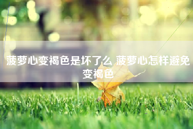 菠萝心变褐色是坏了么 菠萝心怎样避免变褐色