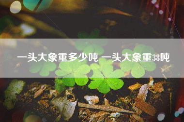 一头大象重多少吨 一头大象重38吨