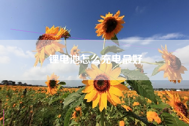 锂电池怎么充电最好