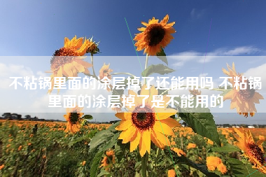 不粘锅里面的涂层掉了还能用吗 不粘锅里面的涂层掉了是不能用的