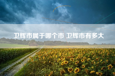 卫辉市属于哪个市 卫辉市有多大