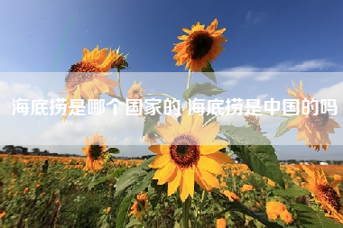 海底捞是哪个国家的 海底捞是中国的吗