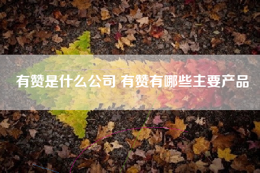 有赞是什么公司 有赞有哪些主要产品