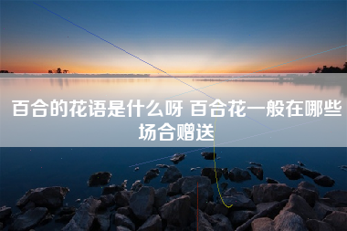 百合的花语是什么呀 百合花一般在哪些场合赠送