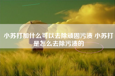 小苏打加什么可以去除顽固污渍 小苏打是怎么去除污渍的