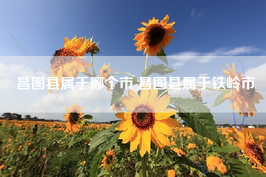 昌图县属于哪个市 昌图县属于铁岭市 昌图县属于哪个市 昌图县属于铁岭市