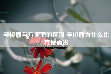 辛拉面与方便面的区别 辛拉面为什么比方便面贵