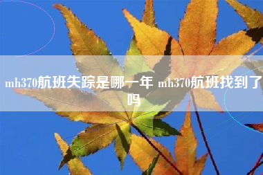 mh370航班失踪是哪一年 mh370航班找到了吗