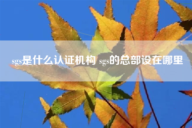 sgs是什么认证机构 sgs的总部设在哪里