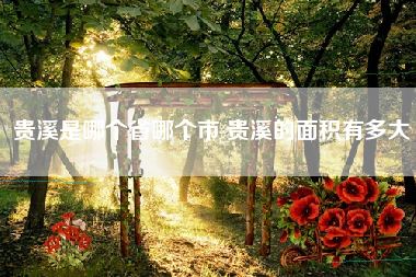 贵溪是哪个省哪个市 贵溪的面积有多大