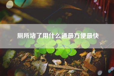厕所堵了用什么通最方便最快 厕所堵了用什么通最方便最快