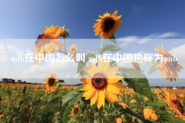 mlb在中国怎么叫 mlb在中国也称为mib