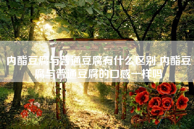 内酯豆腐与普通豆腐有什么区别 内酯豆腐与普通豆腐的口感一样吗