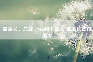 董事长、总裁、ceo哪个最大 董事长职位最大