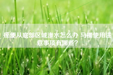 座便从底部区域渗水怎么办 马桶使用注意事项有哪些？