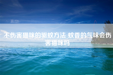 不伤害猫咪的驱蚊方法 蚊香的气味会伤害猫咪吗