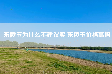 东陵玉为什么不建议买 东陵玉价格高吗