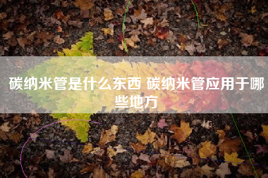 碳纳米管是什么东西 碳纳米管应用于哪些地方