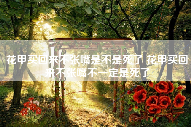 花甲买回来不张嘴是不是死了 花甲买回来不张嘴不一定是死了