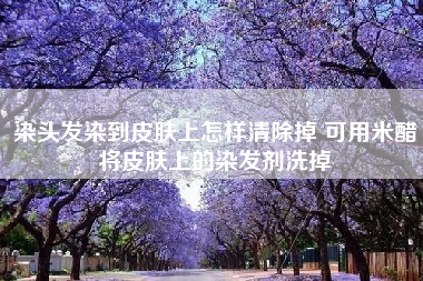 染头发染到皮肤上怎样清除掉 可用米醋将皮肤上的染发剂洗掉 染头发染到皮肤上怎样清除掉 可用米醋将皮肤上的染发剂洗掉