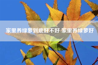 家里养绿萝到底好不好 家里养绿萝好